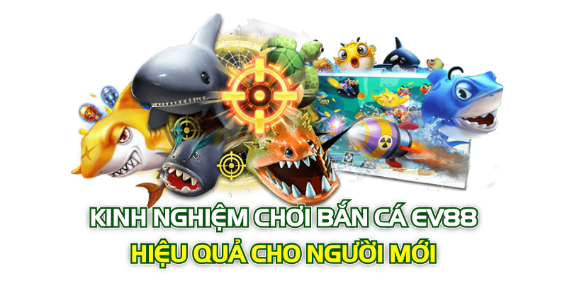 Kinh nghiệm chơi bắn cá EV88 hiệu quả cho người mới