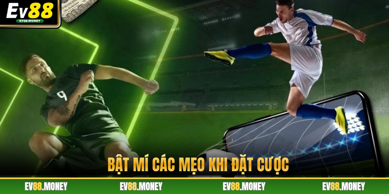 Bật mí các mẹo khi đặt cược