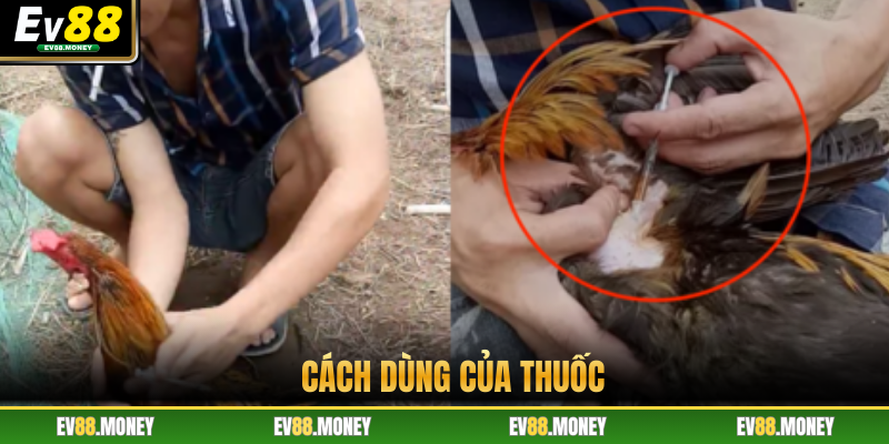Cách dùng của thuốc