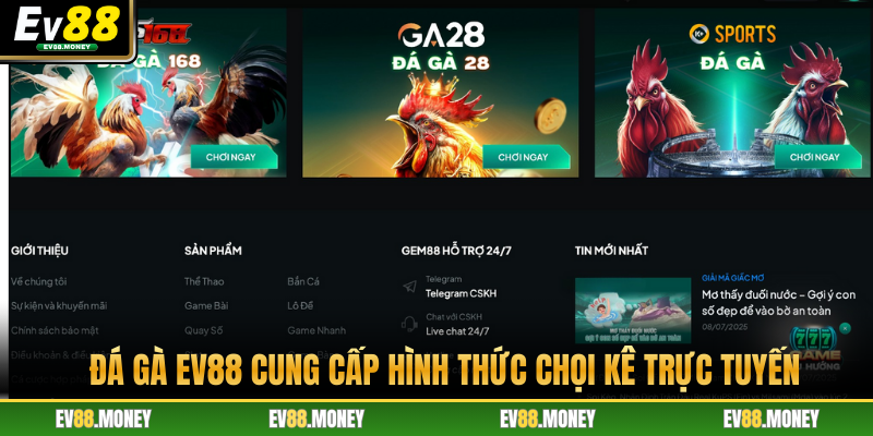 Đá gà EV88 cung cấp hình thức chọi kê trực tuyến