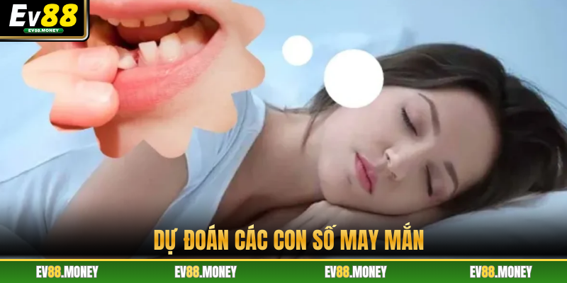 Dự đoán các con số may mắn