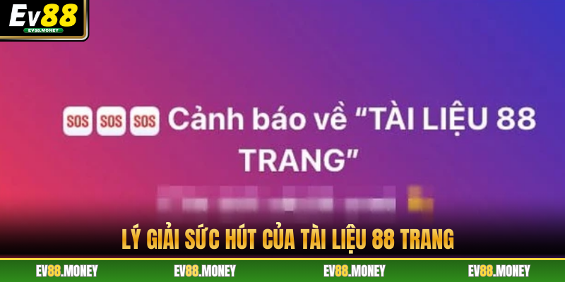 Lý giải sức hút của tài liệu 88 trang