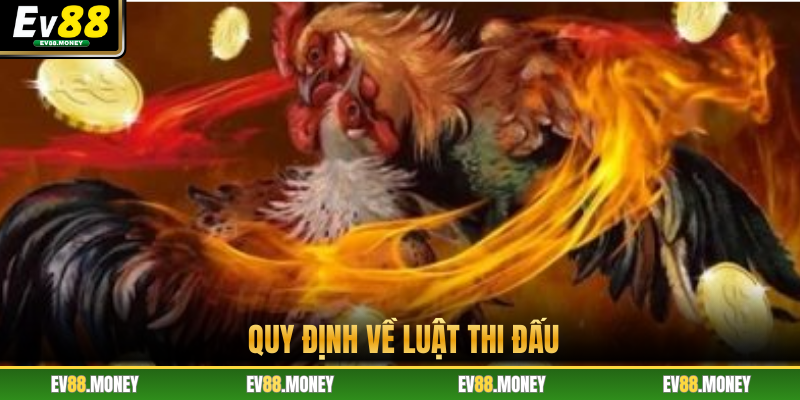 Quy định về luật thi đấu 